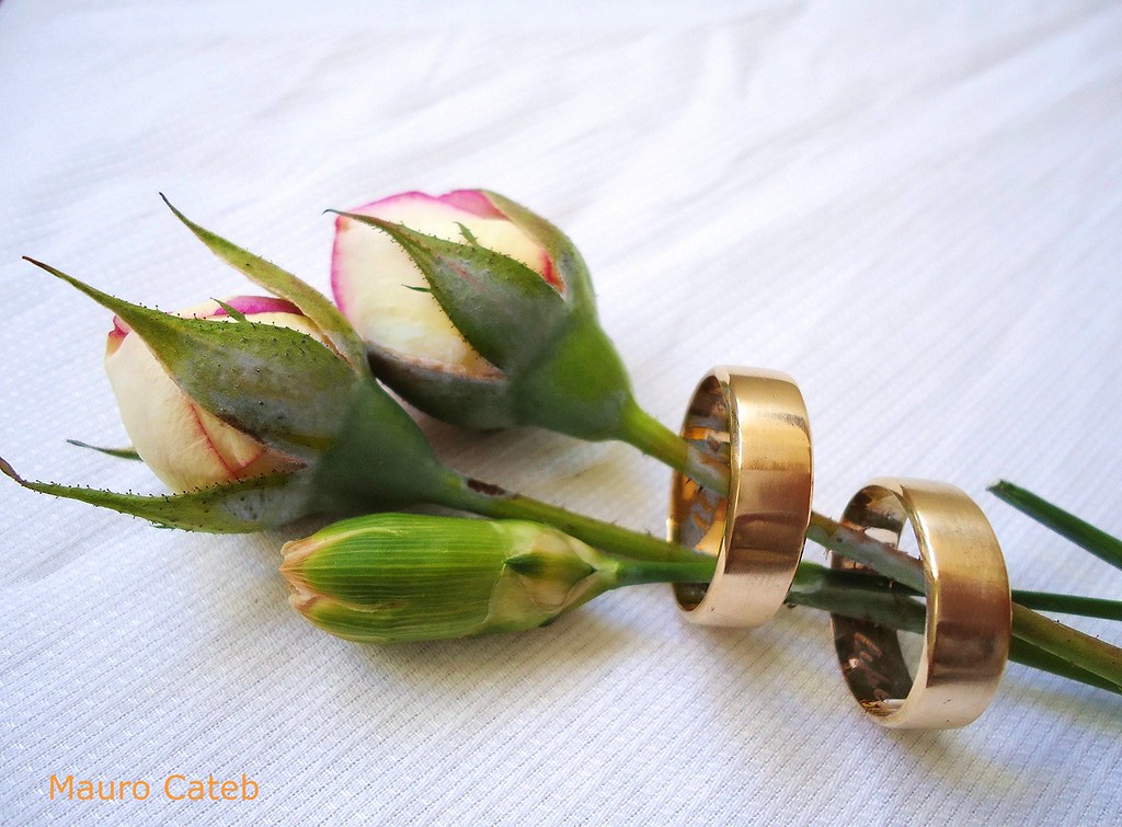 Two gold wedding rings placed side by side